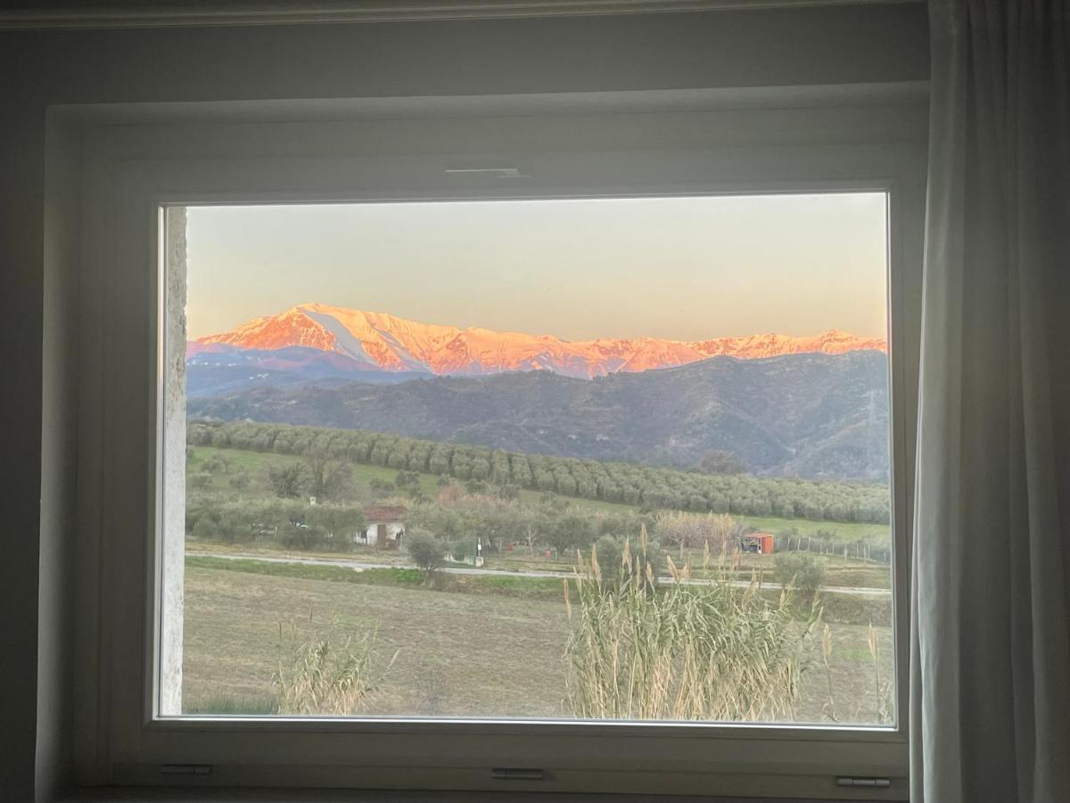 Residenza Case Pacifici Ascoli Piceno Dış mekan fotoğraf